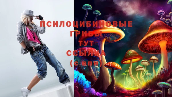 хмурый Армянск