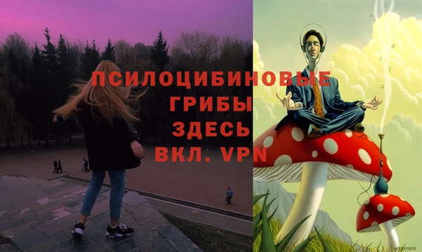 марки nbome Аркадак