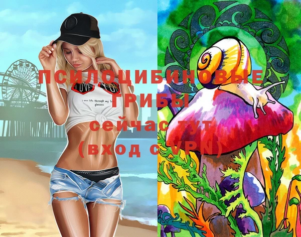 хмурый Армянск